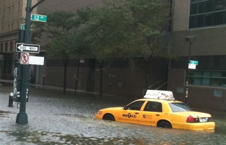 irene new york irene new york